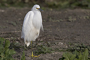 YB_PH17_IMG_4538.jpg