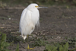 YB_PH17_IMG_4550.jpg