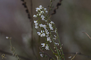 YB_PH17_IMG_4857.jpg