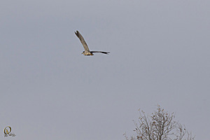 YB_PH17_IMG_5148.jpg