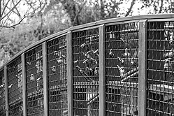 DA_PH18_IMG_3187.jpg
