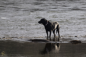 Effie_PH18_IMG_5286.jpg