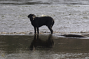 Effie_PH18_IMG_5293.jpg