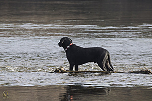 Effie_PH18_IMG_5386.jpg