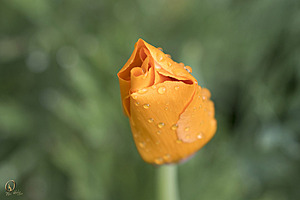 120_EY_PH18_IMG_3668.jpg
