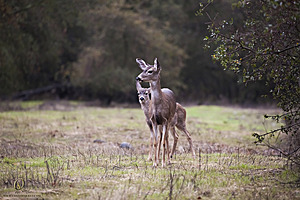 Effie_PH18_IMG_7262.jpg