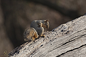Effie_PH18_img_8127.jpg