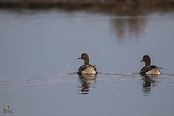 06SNWR_PH18_IMG_9794.jpg