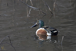 43SNWR_PH18_IMG_0052.jpg