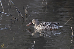 44SNWR_PH18_IMG_0053.jpg