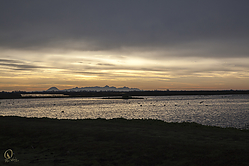 60SNWR_PH18_IMG_3119.jpg