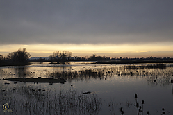 61SNWR_PH18_IMG_3125.jpg