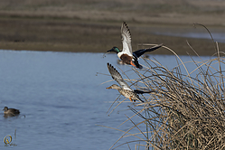 SNWR_PH18_IMG_0840.jpg