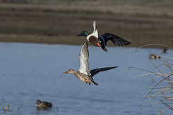 SNWR_PH18_IMG_0841.jpg