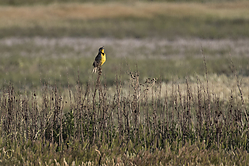 SNWR_PH18_IMG_5026.jpg