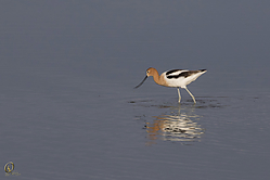 SNWR_PH18_IMG_5163.jpg