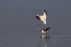 SNWR_PH18_IMG_5215.jpg