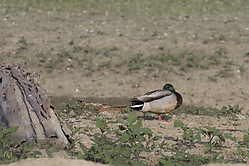 SNWR_PH18_IMG_5232.jpg