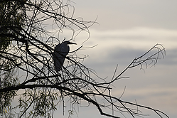 SNWR_PH18_IMG_5262.jpg