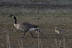 SNWR_PH18_IMG_5332.jpg