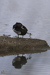 SNWR_PH18_IMG_5350.jpg