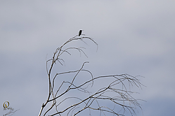 SNWR_PH18_IMG_5414.jpg