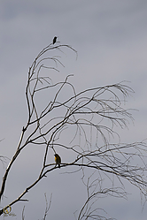 SNWR_PH18_IMG_5434.jpg