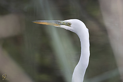 SNWR_PH18_IMG_5439.jpg