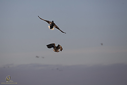 SNWR_PH18_IMG_7533.jpg