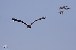 SNWR_PH18_IMG_9276.jpg