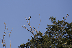 DRC_PH19_IMG_5206.jpg