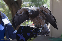 DRC_PH19_IMG_5420.jpg