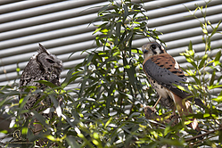 DRC_PH19_IMG_5427.jpg
