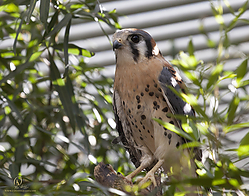 DRC_PH19_IMG_5438.jpg
