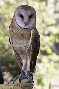 DRC_PH19_IMG_7939.jpg
