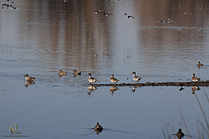 GL_PH19_IMG_8661.jpg