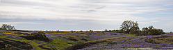135NTM_PH19_IMG_4590-3.jpg