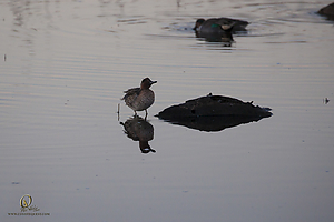 06_SNWR11_PH19_IMG_9364.jpg