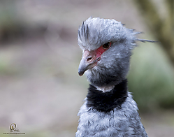 Zoo_PH19_IMG_1194.jpg
