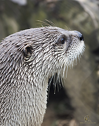 Zoo_PH19_IMG_1554.jpg