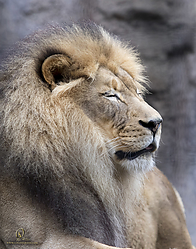 Zoo_PH19_IMG_1571.jpg