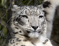 Zoo_PH19_IMG_2044.jpg