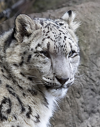 Zoo_PH19_IMG_2096.jpg