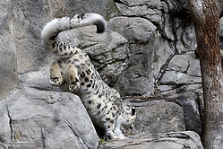 Zoo_PH19_IMG_2110.jpg