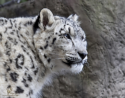Zoo_PH19_IMG_2133.jpg