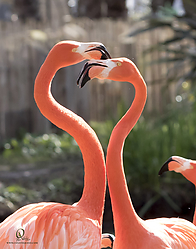 Zoo_PH19_IMG_2347.jpg