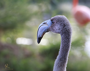 02_Zoo_PH19__MG_0814.jpg