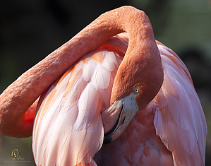 18_Zoo_PH19_IMG_7420.jpg