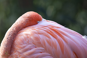 19_Zoo_PH19_IMG_7423.jpg