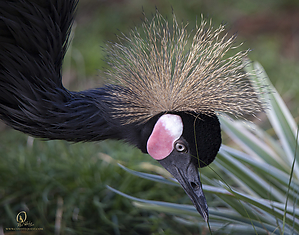 23_Zoo_PH19_IMG_7439.jpg